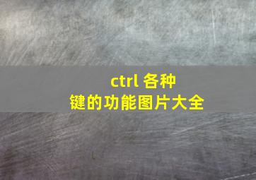 ctrl 各种键的功能图片大全